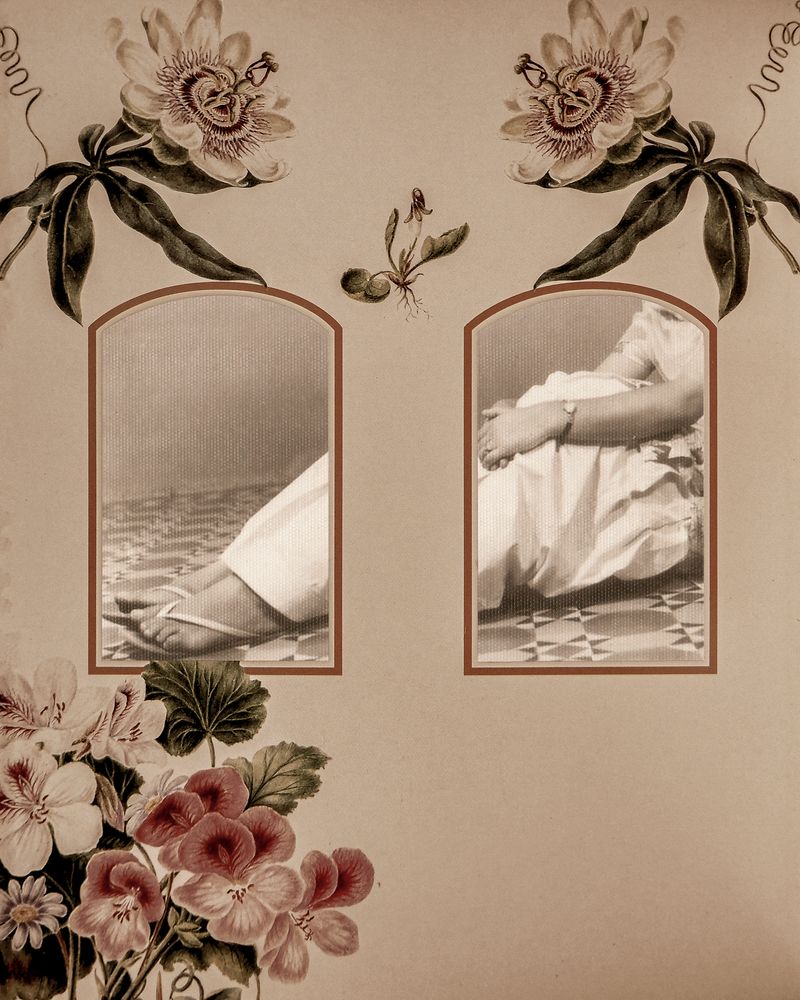 © Aakriti Chandervanshi - Image from the Gul-posh photography project