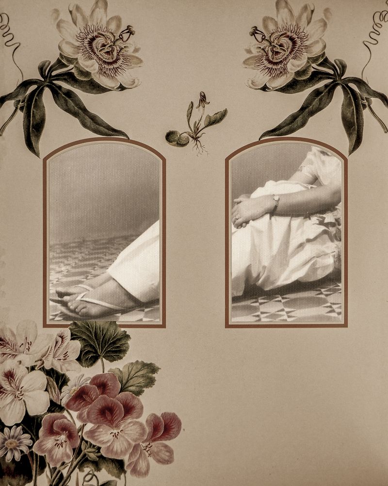 © Aakriti Chandervanshi - Image from the Gul-posh photography project