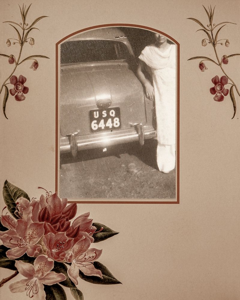 © Aakriti Chandervanshi - Image from the Gul-posh photography project