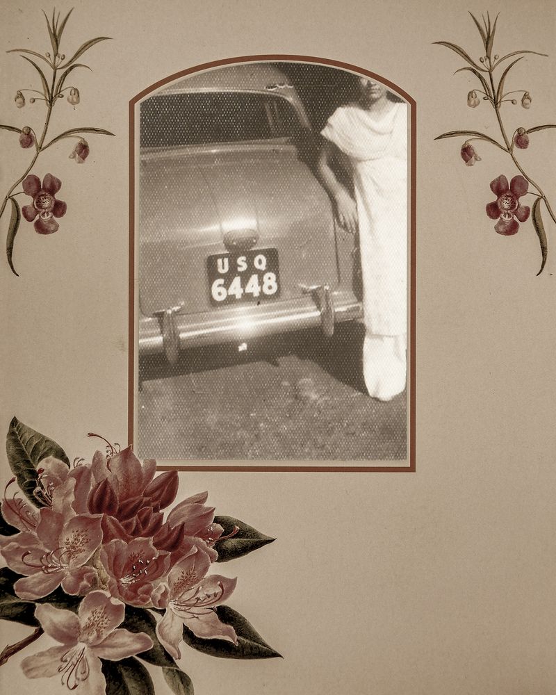 © Aakriti Chandervanshi - Image from the Gul-posh photography project