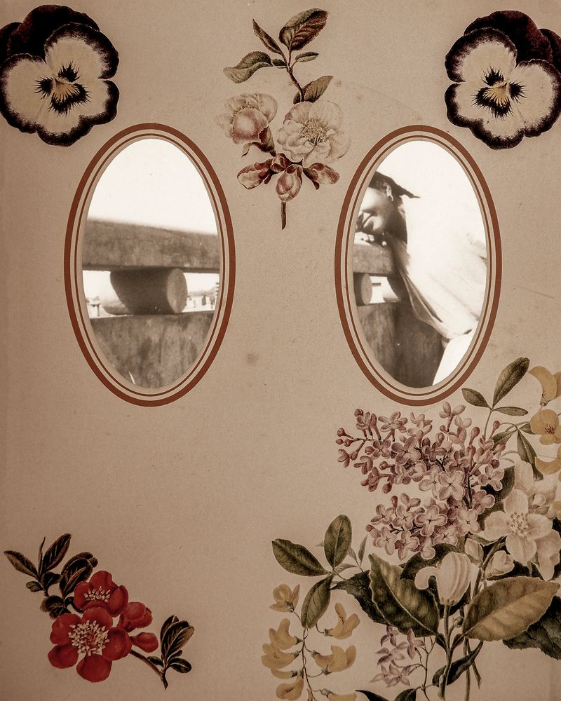 © Aakriti Chandervanshi - Image from the Gul-posh photography project