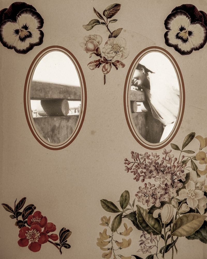 © Aakriti Chandervanshi - Image from the Gul-posh photography project