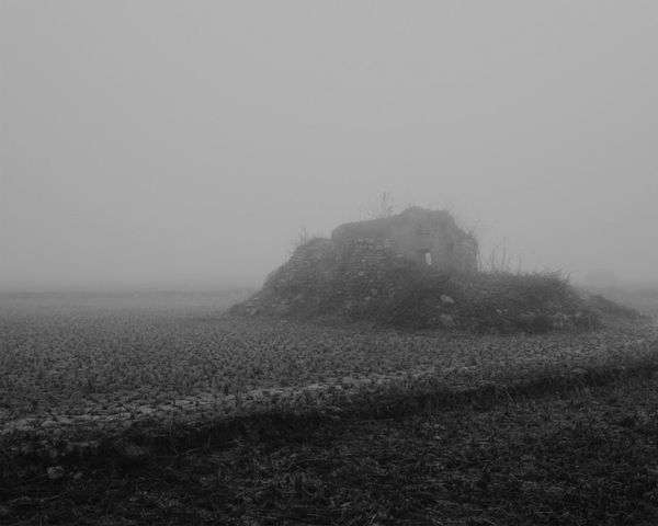 © Aakriti Chandervanshi - Image from the After Eden photography project