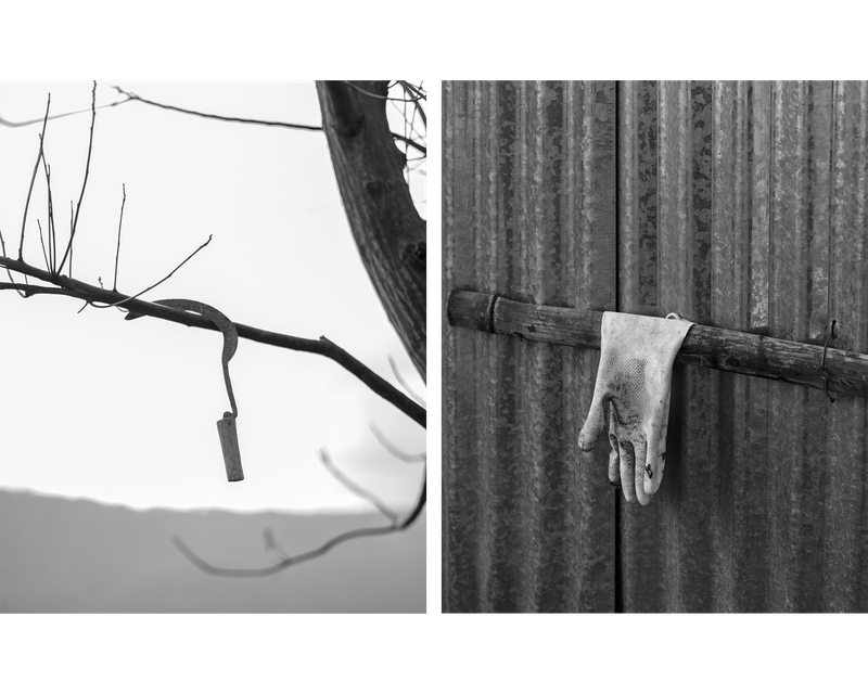 © Aakriti Chandervanshi - Image from the After Eden photography project