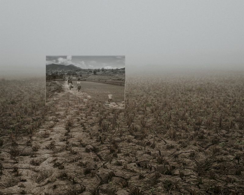 © Aakriti Chandervanshi - Image from the After Eden photography project