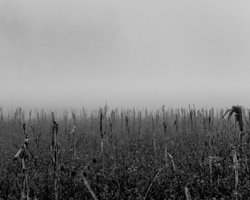 © Aakriti Chandervanshi - Image from the After Eden photography project