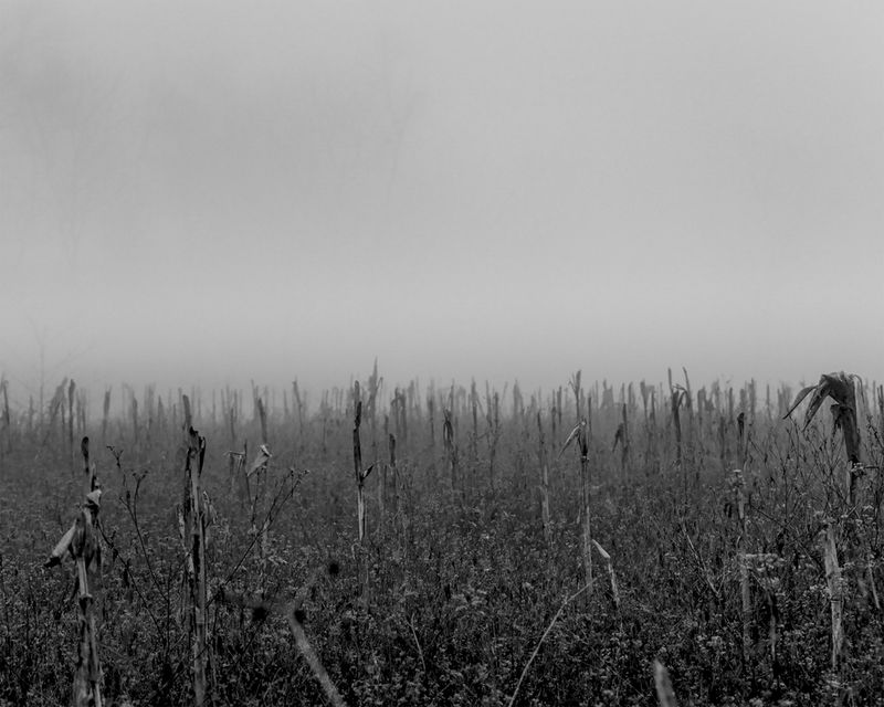 © Aakriti Chandervanshi - Image from the After Eden photography project