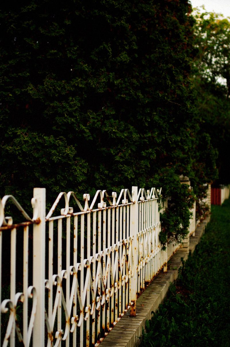 © Moss and Moon - Image from the Went For One photography project