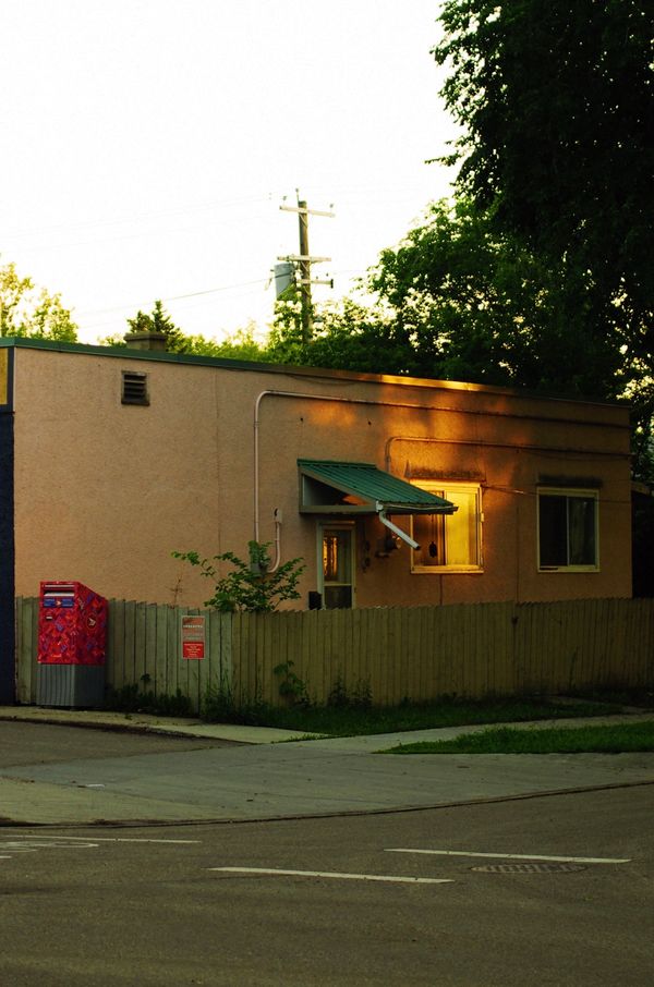 © Moss and Moon - Image from the Went For One photography project