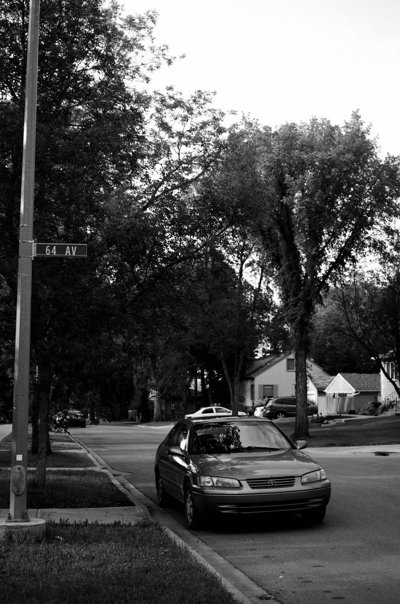 © Moss and Moon - Image from the Went For One photography project