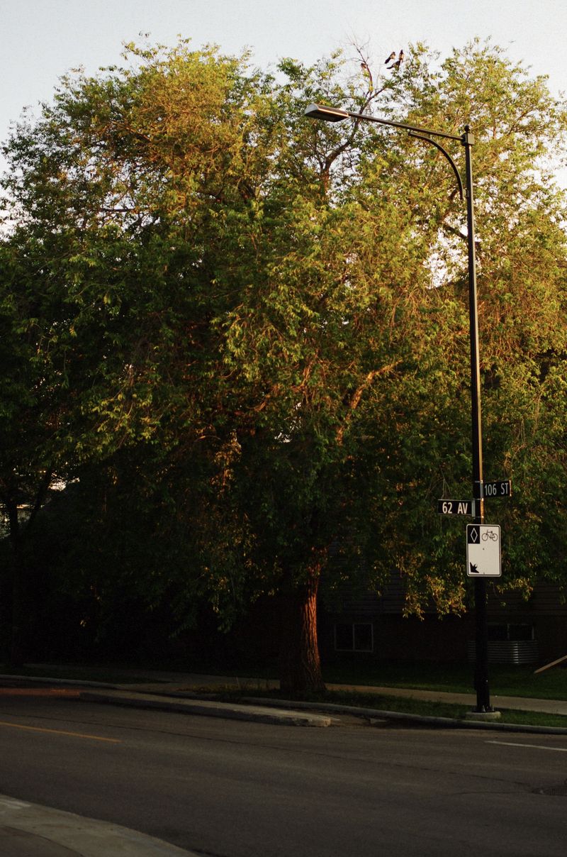 © Moss and Moon - Image from the Went For One photography project