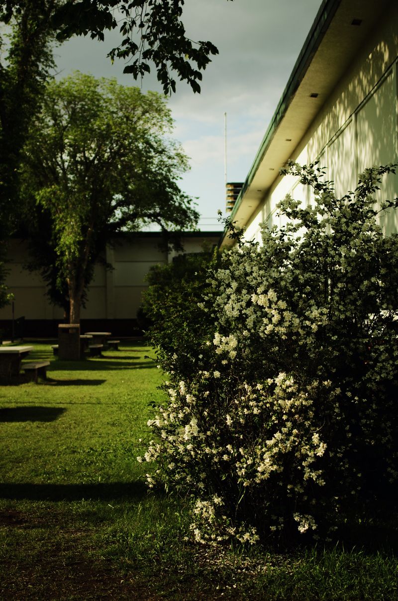 © Moss and Moon - Image from the Went For One photography project