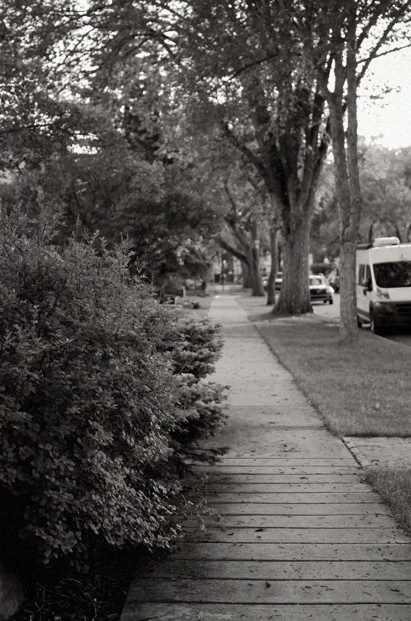 © Moss and Moon - Image from the Went For One photography project