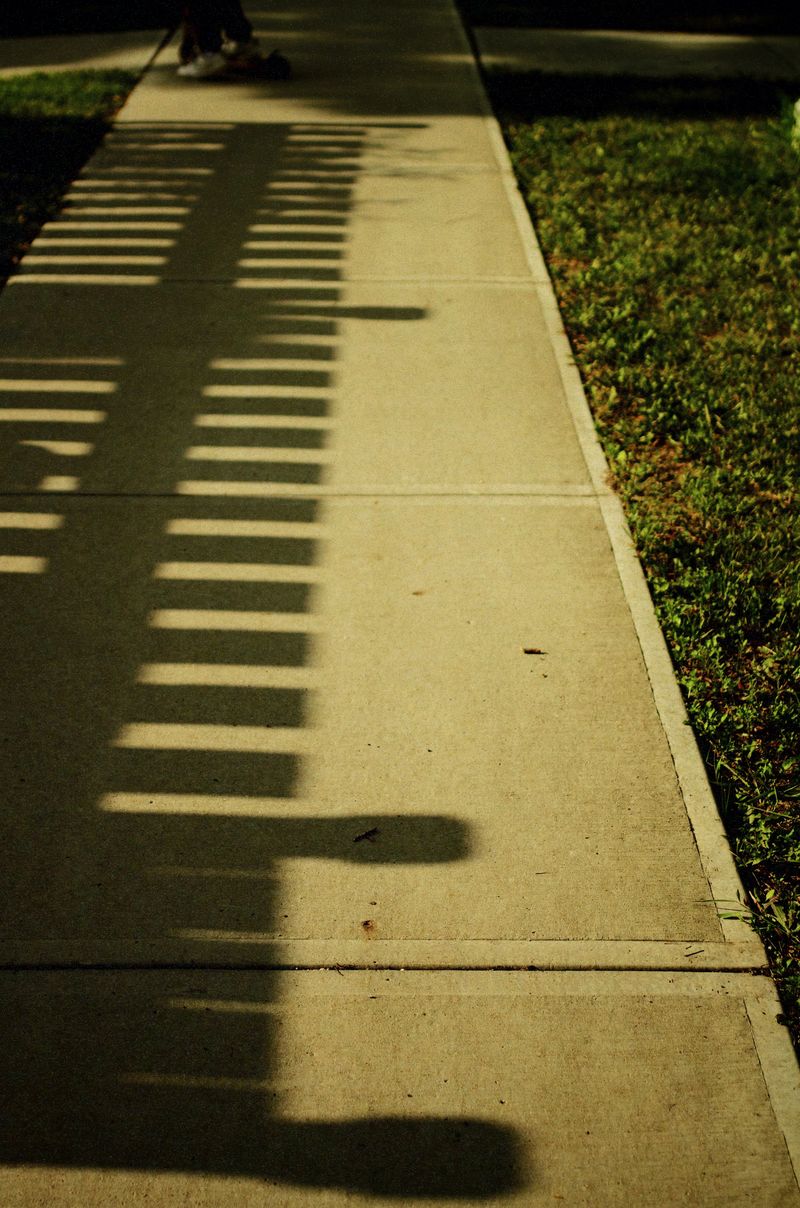 © Moss and Moon - Image from the Went For One photography project