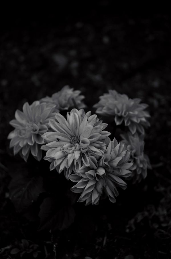 © Moss and Moon - Image from the Masculine Gaze photography project