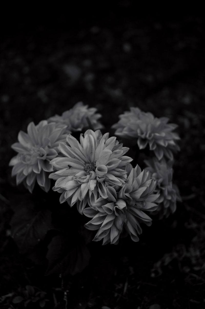 © Moss and Moon - Image from the Masculine Gaze photography project