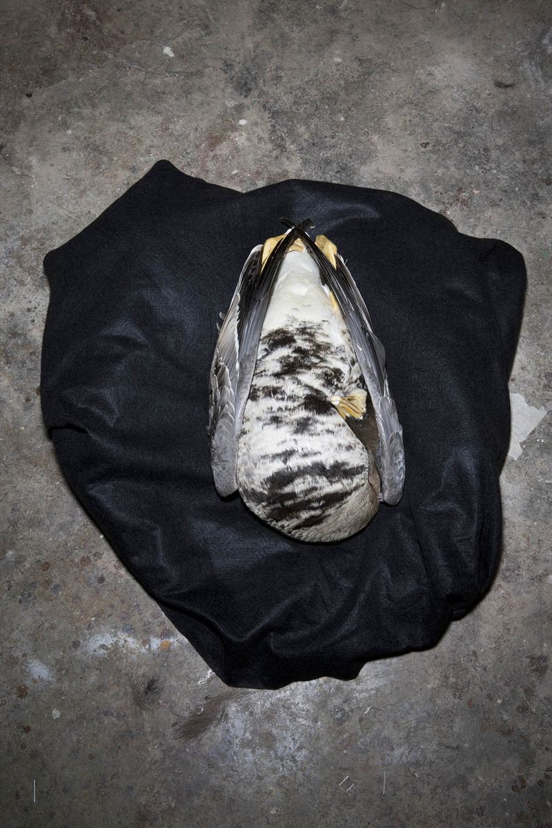 © Constance Thalken - Image from the Eyes Open Slowly photography project