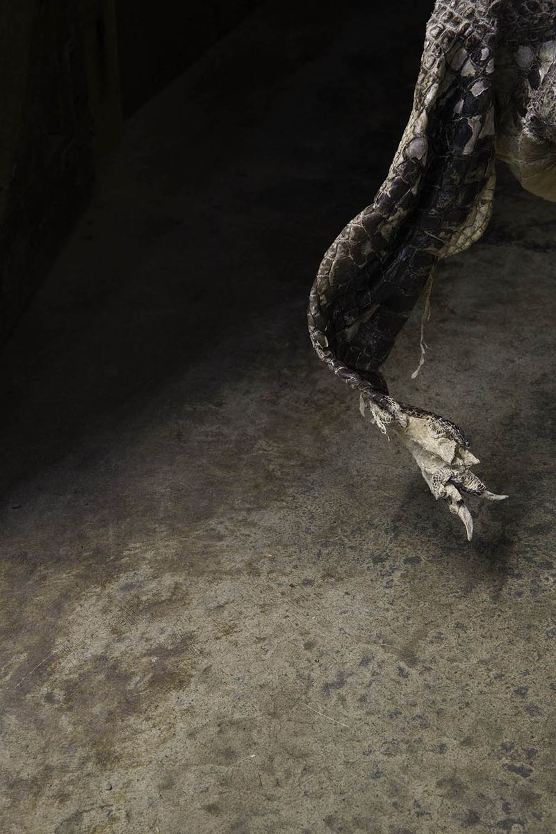 © Constance Thalken - Image from the Eyes Open Slowly photography project