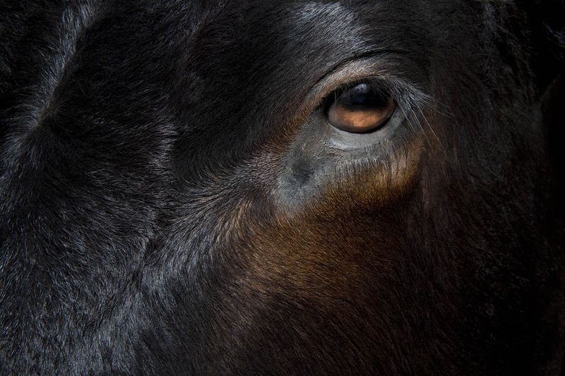 © Constance Thalken - Image from the Eyes Open Slowly photography project