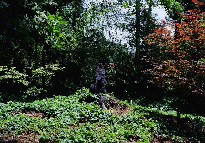 © Constance Thalken - Image from the Exit Wounds photography project