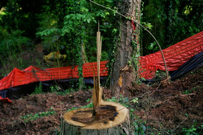 © Constance Thalken - Image from the Exit Wounds photography project