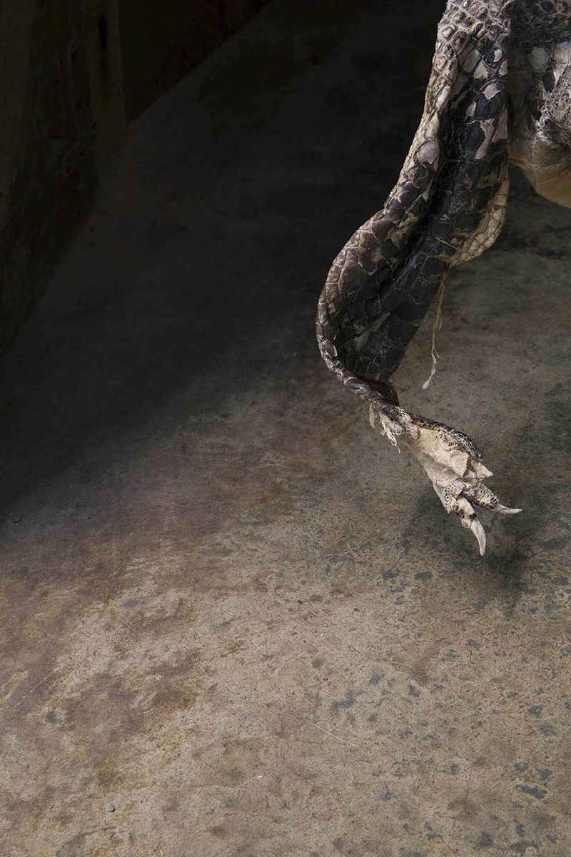 © Constance Thalken - Eyes Open Slowly #20                       43" x 28-1/2", Archival pigment print