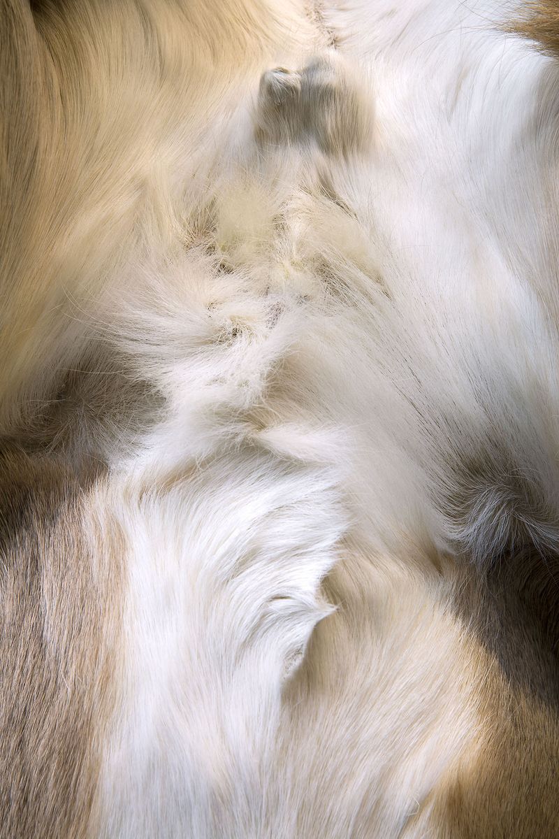 © Constance Thalken - Eyes Open Slowly #19                43" x 28-1/2", Archival pigment print