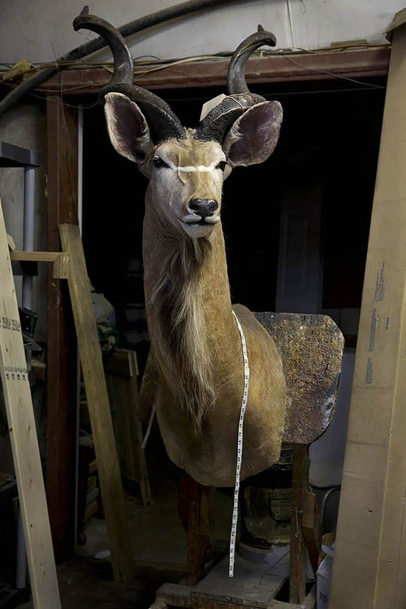 © Constance Thalken - Eyes Open Slowly #9                 43" x 28-1/2", Archival pigment print