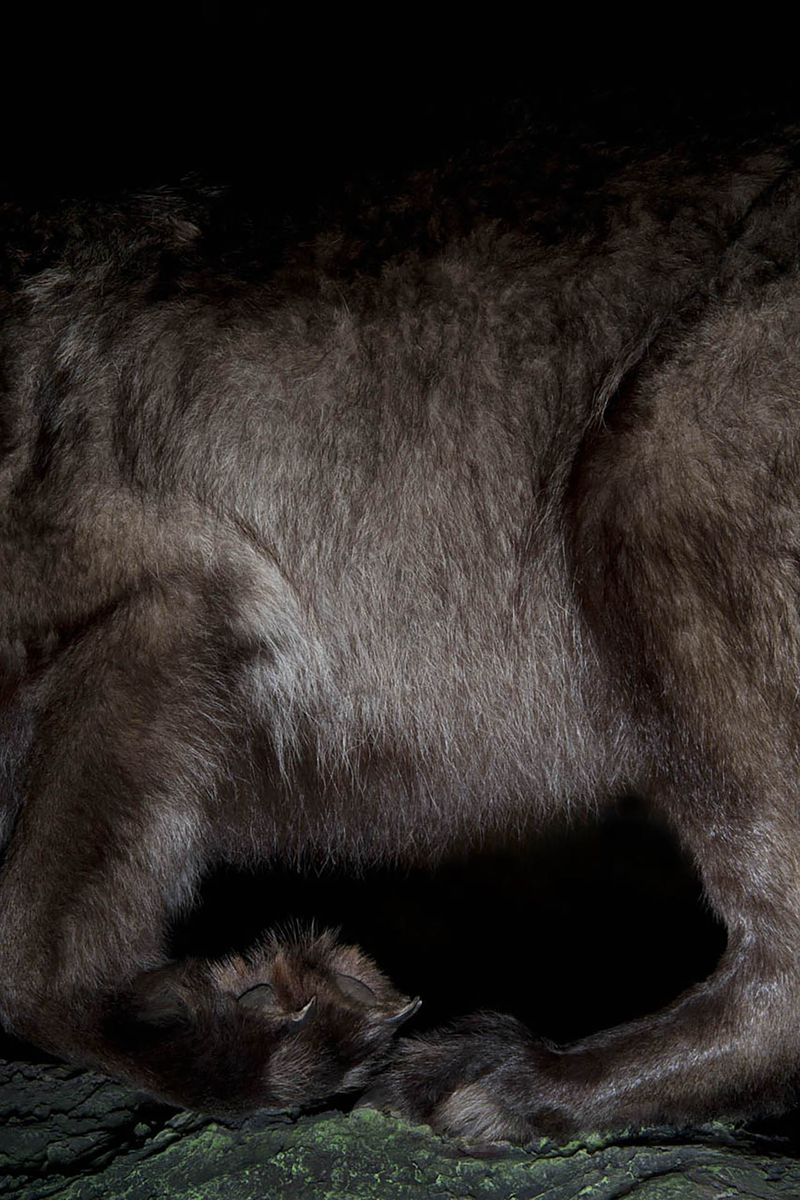 © Constance Thalken - Eyes Open Slowly #3                         43" x 28-1/2", Archival pigment print
