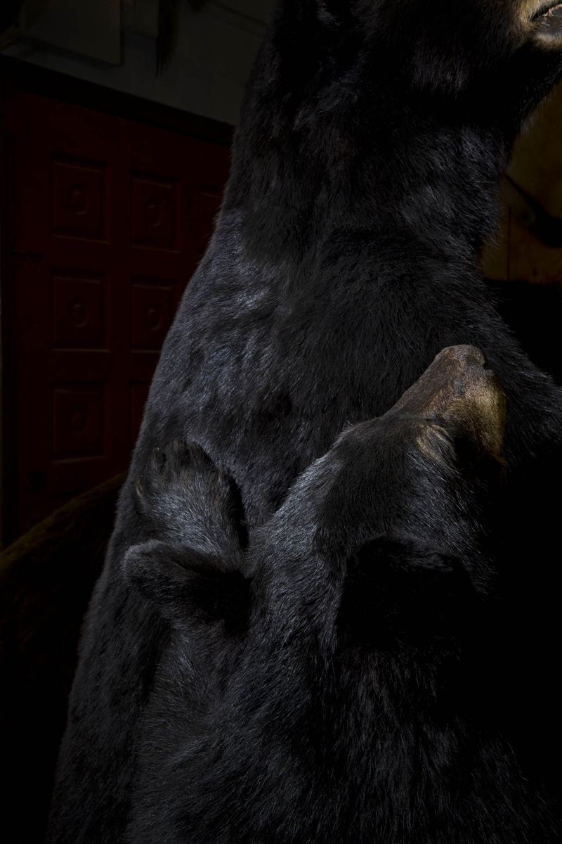 © Constance Thalken - Eyes Open Slowly #8                        43" x 28-1/2", Archival pigment print