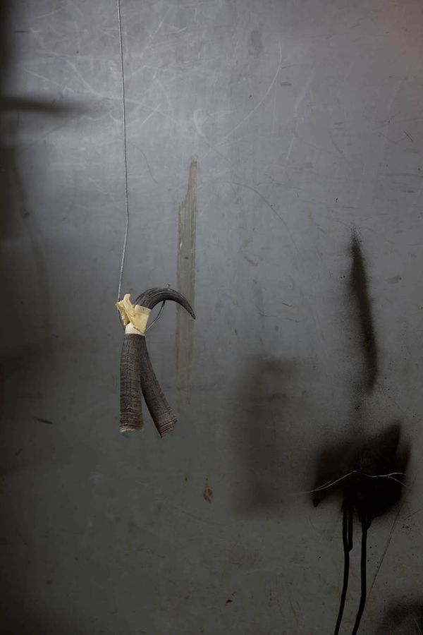 © Constance Thalken - Eyes Open Slowly #2                 43" x 28-1/2", Archival pigment print