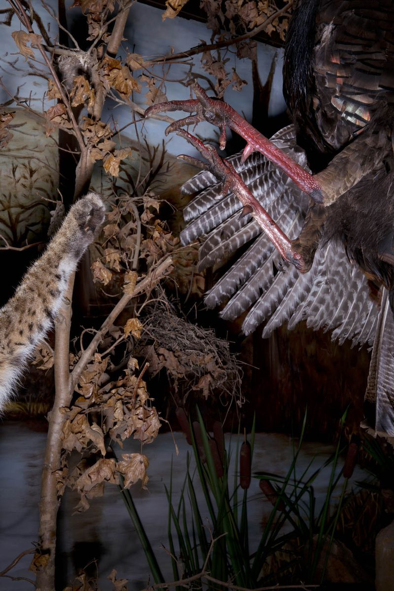 © Constance Thalken - Eyes Open Slowly #21                        43" x 28-1/2", Archival pigment print
