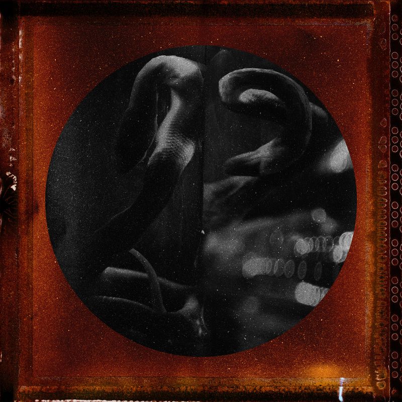 © Tirdad Aghakhani - Image from the Untitled Story photography project