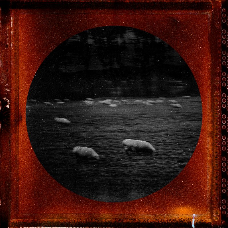 © Tirdad Aghakhani - Image from the Untitled Story photography project