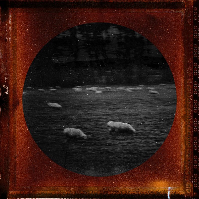 © Tirdad Aghakhani - Image from the Untitled Story photography project