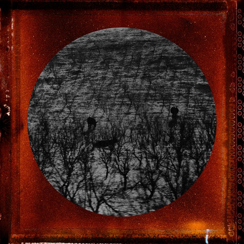 © Tirdad Aghakhani - Image from the Untitled Story photography project