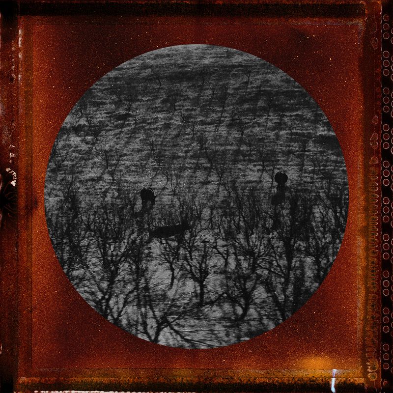 © Tirdad Aghakhani - Image from the Untitled Story photography project