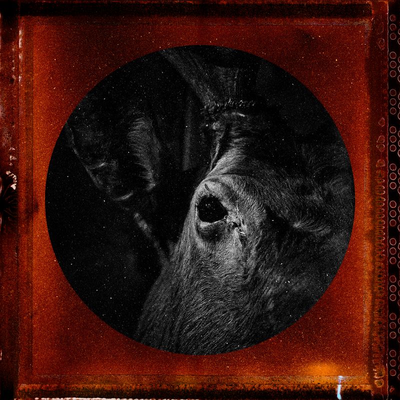 © Tirdad Aghakhani - Image from the Untitled Story photography project