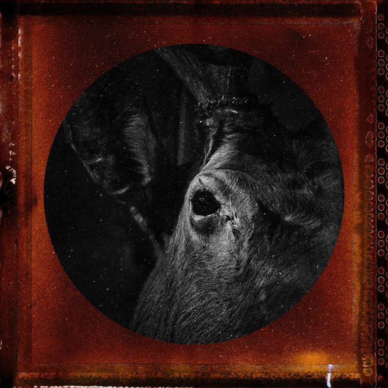 © Tirdad Aghakhani - Image from the Untitled Story photography project