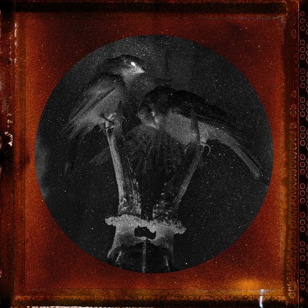 © Tirdad Aghakhani - Image from the Untitled Story photography project