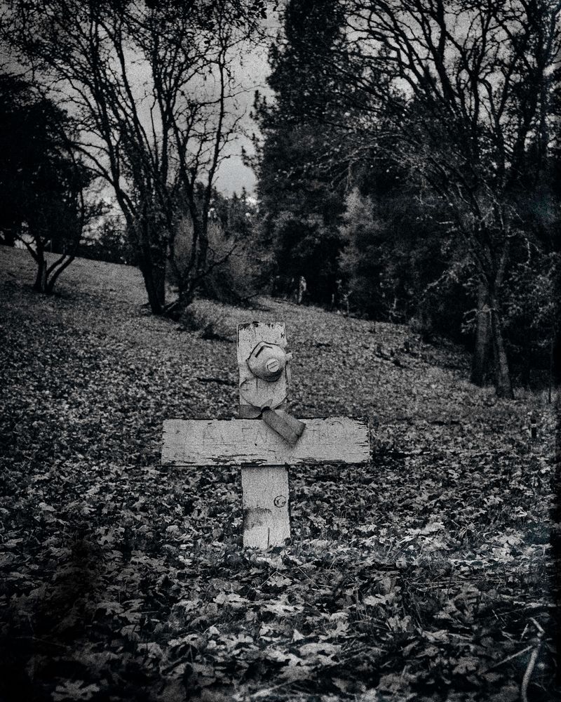 © Tirdad Aghakhani - Image from the Testament photography project