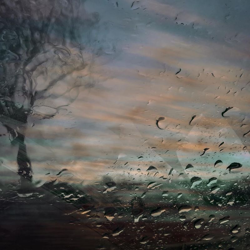 © Tirdad Aghakhani - Image from the Rain photography project