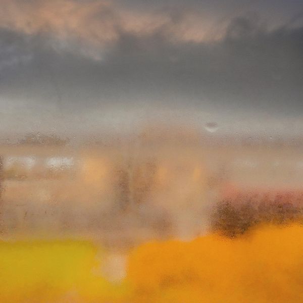 © Tirdad Aghakhani - Image from the Rain photography project