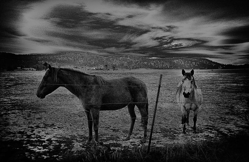 © Tirdad Aghakhani - "I LOVE YOU". PLEASE DO NOT IGNORE ME.