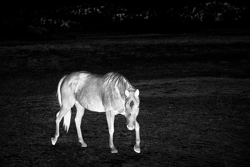 © Tirdad Aghakhani - FEELING SHY BECAUSE OF SOMETHING THAT I COULD NOT DO.