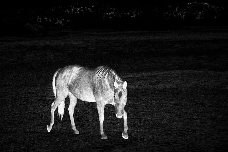 © Tirdad Aghakhani - FEELING SHY BECAUSE OF SOMETHING THAT I COULD NOT DO.