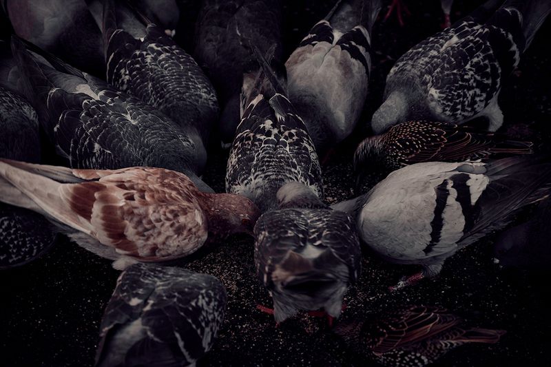 © Tirdad Aghakhani - I AM UNIQUE.