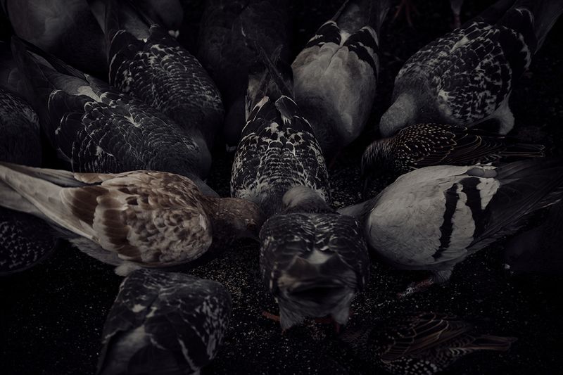 © Tirdad Aghakhani - I AM UNIQUE.