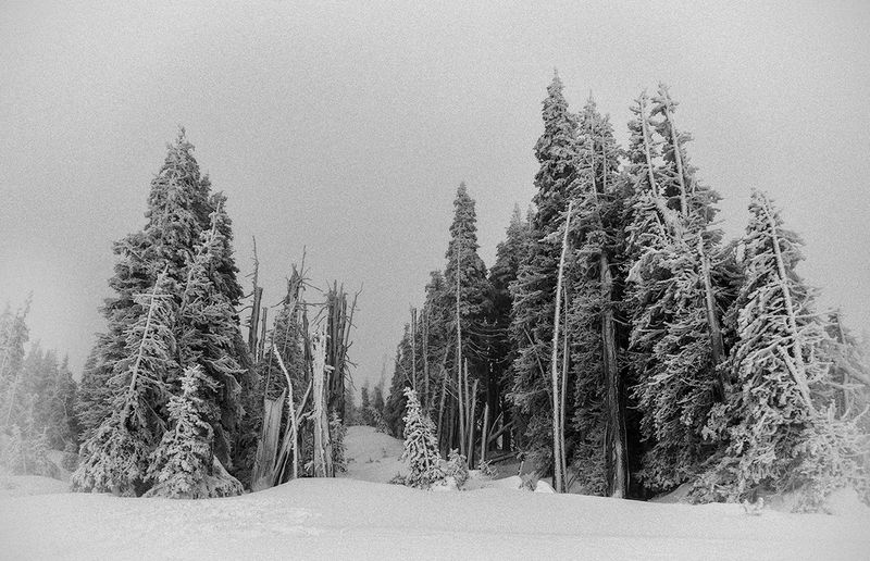 © Tirdad Aghakhani - THE RELATIONSHIP GOT FROZEN.