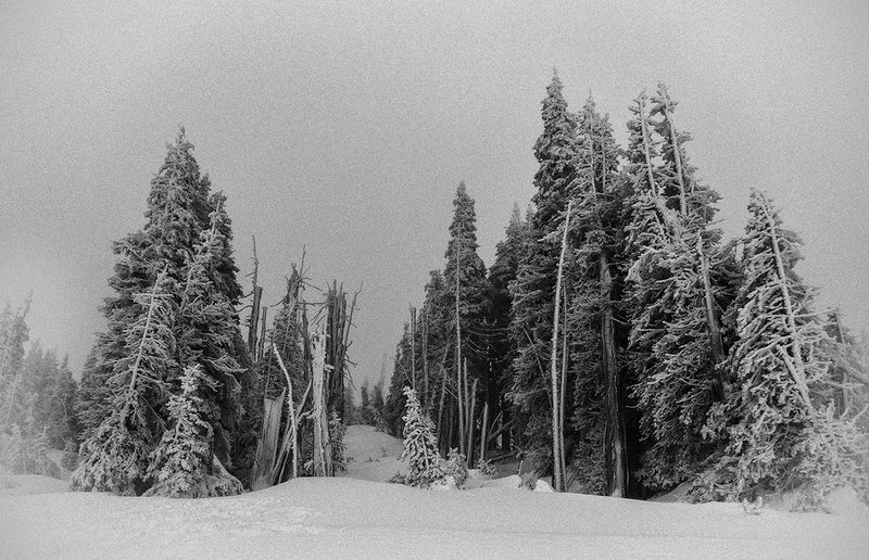 © Tirdad Aghakhani - THE RELATIONSHIP GOT FROZEN.